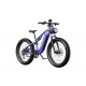 DUOTTS E26 Electric Bike-Blue Purple