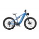 DUOTTS E26 Electric Bike-Blue Purple