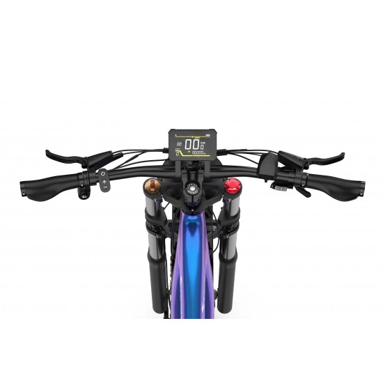 DUOTTS E26 Electric Bike-Blue Purple