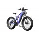 DUOTTS E26 Electric Bike-Blue Purple
