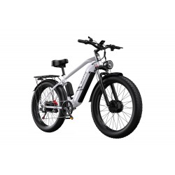DUOTTS F26 Electric Bike-Silver White