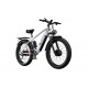 DUOTTS F26 Electric Bike-Silver White