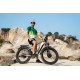DUOTTS F26 Electric Bike-Silver White
