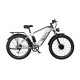 DUOTTS F26 Electric Bike-Silver White