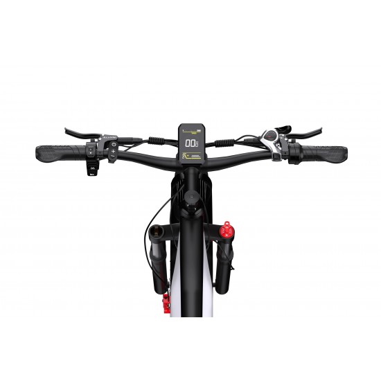 DUOTTS F26 Electric Bike-Silver White