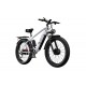 DUOTTS F26 Electric Bike-Silver White