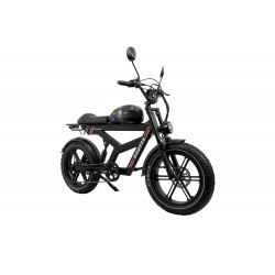 DUOTTS F20 Electric Bike