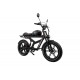 DUOTTS F20 Electric Bike