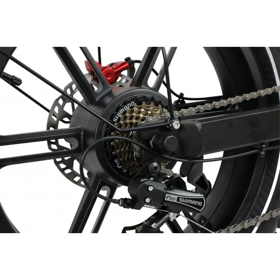 DUOTTS F20 Electric Bike