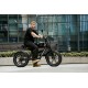 DUOTTS F20 Electric Bike