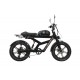 DUOTTS F20 Electric Bike
