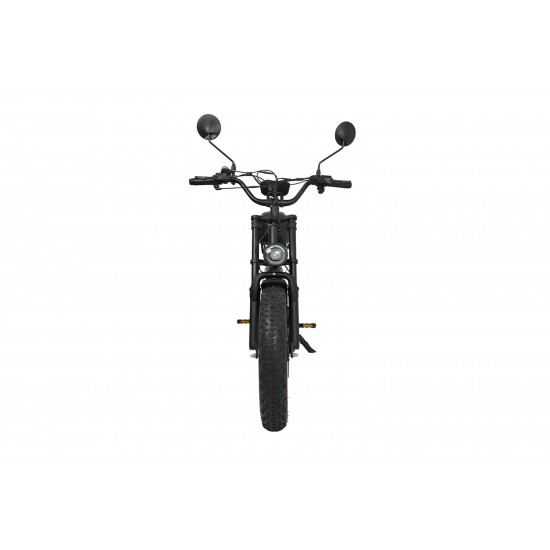 DUOTTS F20 Electric Bike