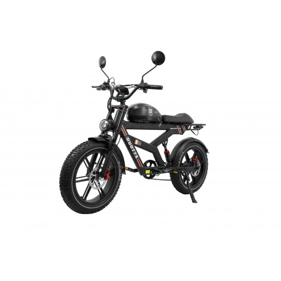 DUOTTS F20 Electric Bike
