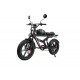 DUOTTS F20 Electric Bike