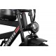DUOTTS F20 Electric Bike
