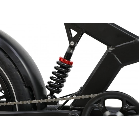 DUOTTS F20 Electric Bike