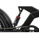 DUOTTS F20 Electric Bike