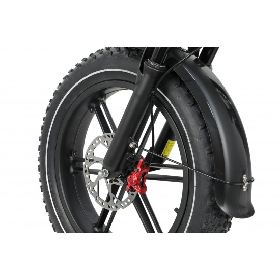 DUOTTS F20 Electric Bike