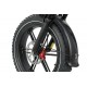DUOTTS F20 Electric Bike