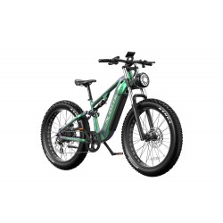 DUOTTS E26 Electric Bike-Green Purple