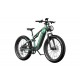 DUOTTS E26 Electric Bike-Green Purple