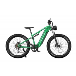 DUOTTS E26 Electric Bike-Green Purple
