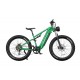DUOTTS E26 Electric Bike-Green Purple