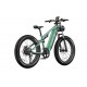 DUOTTS E26 Electric Bike-Green Purple