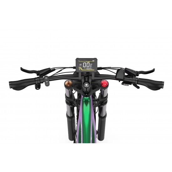 DUOTTS E26 Electric Bike-Green Purple