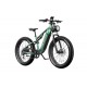 DUOTTS E26 Electric Bike-Green Purple