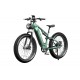 DUOTTS E26 Electric Bike-Green Purple
