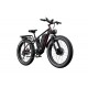 DUOTTS S26 Electric Bike