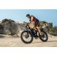 DUOTTS S26 Electric Bike