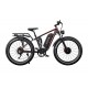 DUOTTS S26 Electric Bike