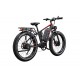 DUOTTS S26 Electric Bike