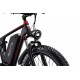 DUOTTS S26 Electric Bike