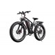 DUOTTS S26 Electric Bike