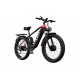 DUOTTS F26 Electric Bike-Black Red