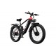 DUOTTS F26 Electric Bike-Black Red