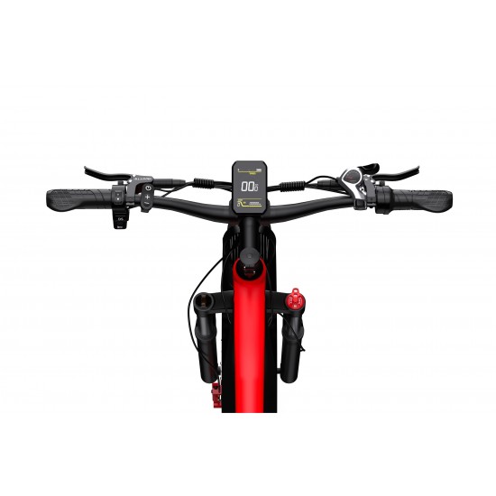 DUOTTS F26 Electric Bike-Black Red