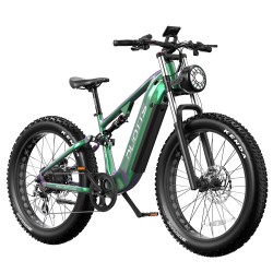 DUOTTS E26 Electric Bike-Green Purple