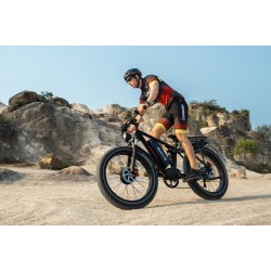 DUOTTS S26 Electric Bike